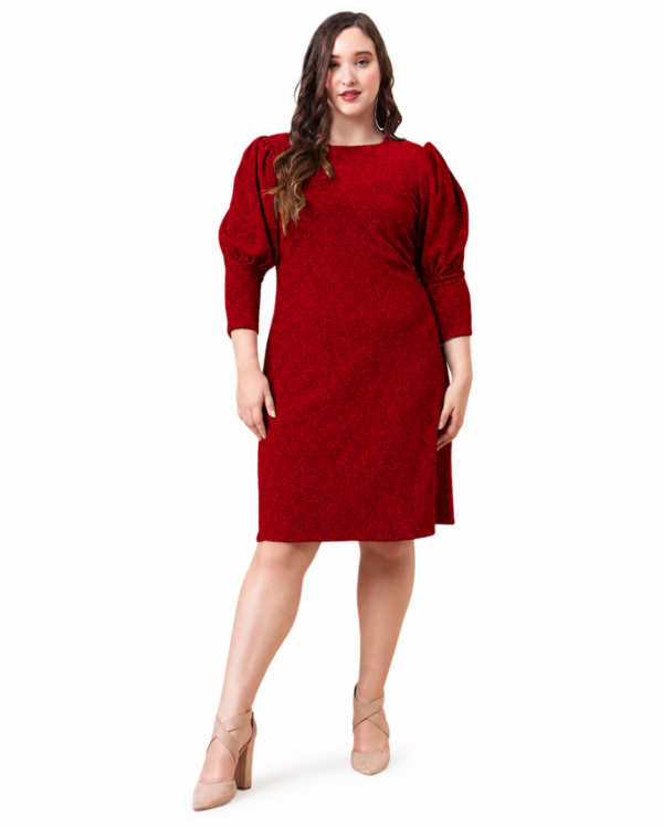 Fire | Plus Size Red Shimmer Dress