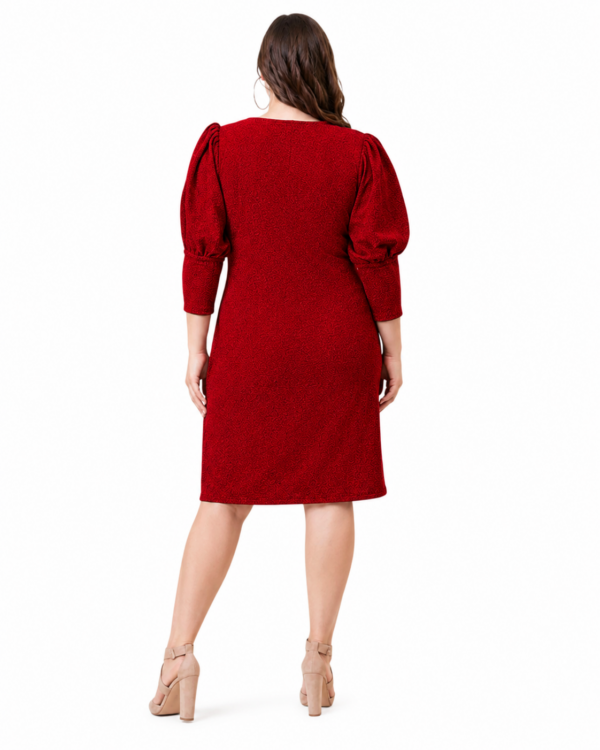 Fire | Plus Size Red Shimmer Dress