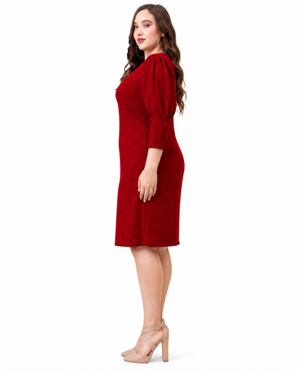 Fire | Plus Size Red Shimmer Dress
