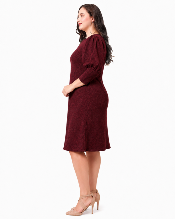 Wine Night | Plus Size Burgundy Shimmer Dress
